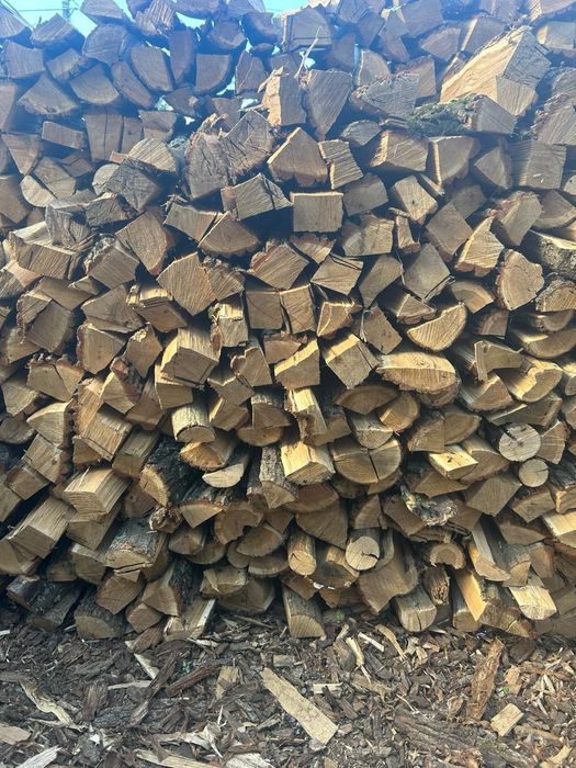 Продам дрова дубовые