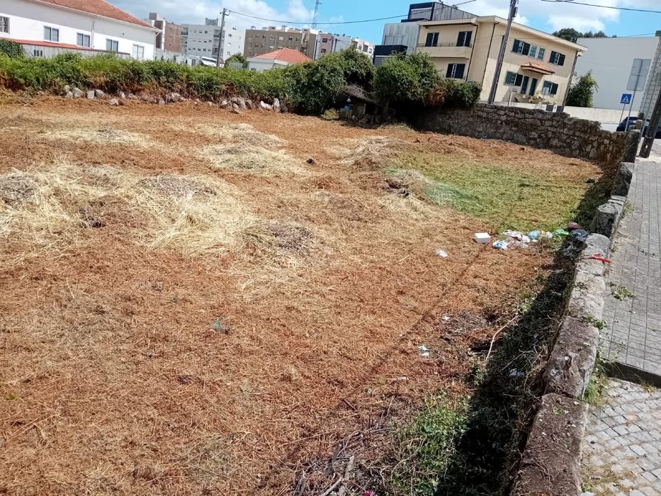 Limpeza de jardim