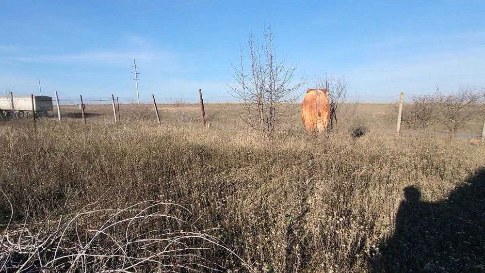 Дачний будинок з участком