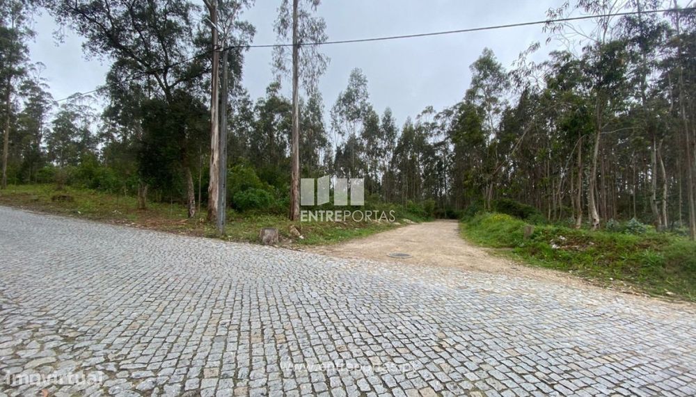 Venda de Terreno com 10.000 m2, Tougues, Vila do Conde