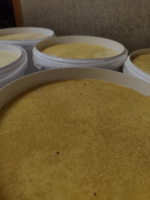 Мед соняха з власної пасіки