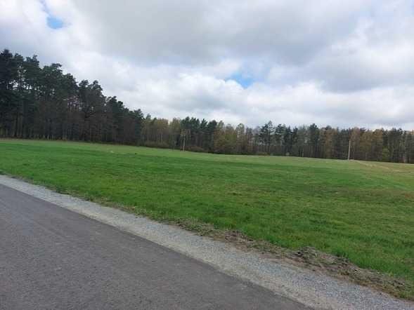 Działka budowlana przy lesie - Kobyla Góra