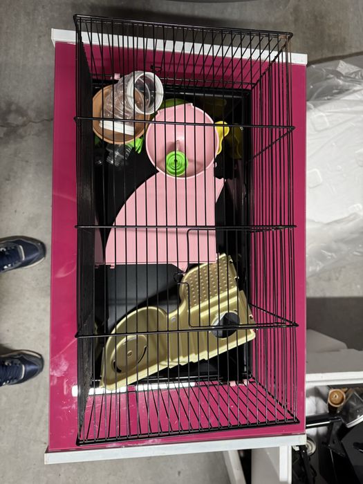 Casotas de hamster e Aquário para tartaruga