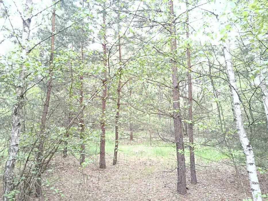 Продам  15-сот під забудову село.Сінгури р-н новобудов