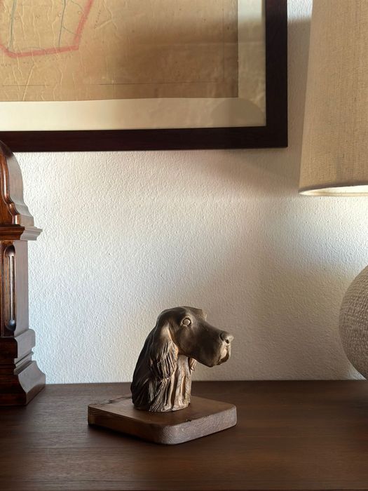 Cabeça de cão Setter inglês em terracota