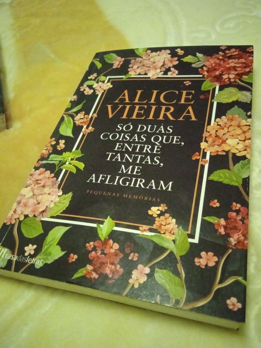 Só duas coisas que,entre tantas me afligiramm. Livro de Alice Vieira.