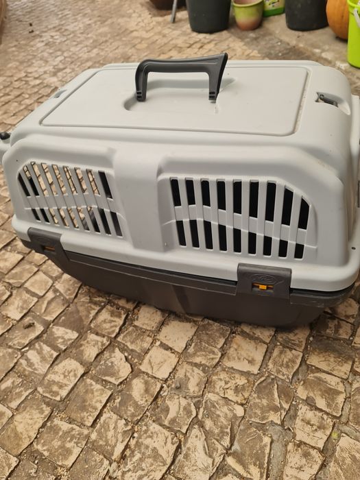 Transportadora Animais