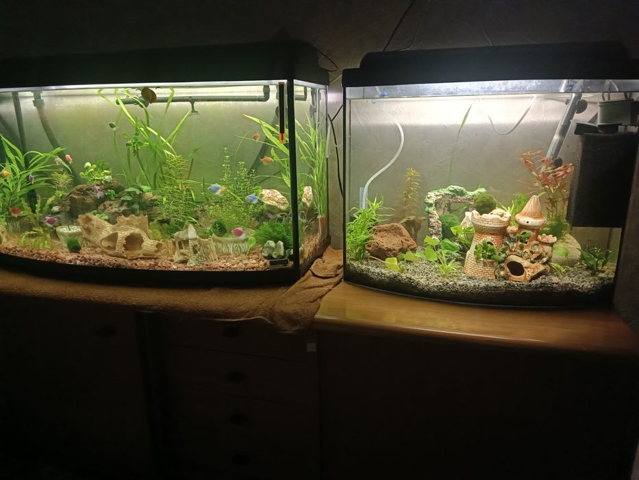 Аквариумы 190 и 80 л. Со всем оборудованием