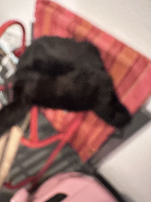 Czapka zimowa futrzana