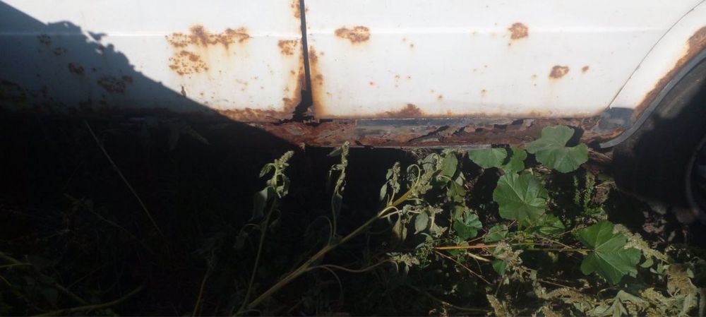 продам два жигуля по цене одного