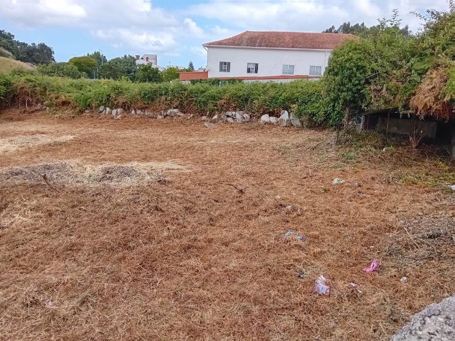 Limpeza de jardim