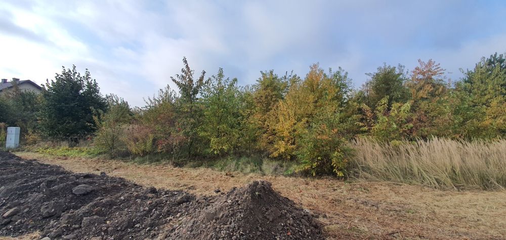 Mulczer leśny, mulczer wgłębny, karczowanie, oczyszczanie działek.