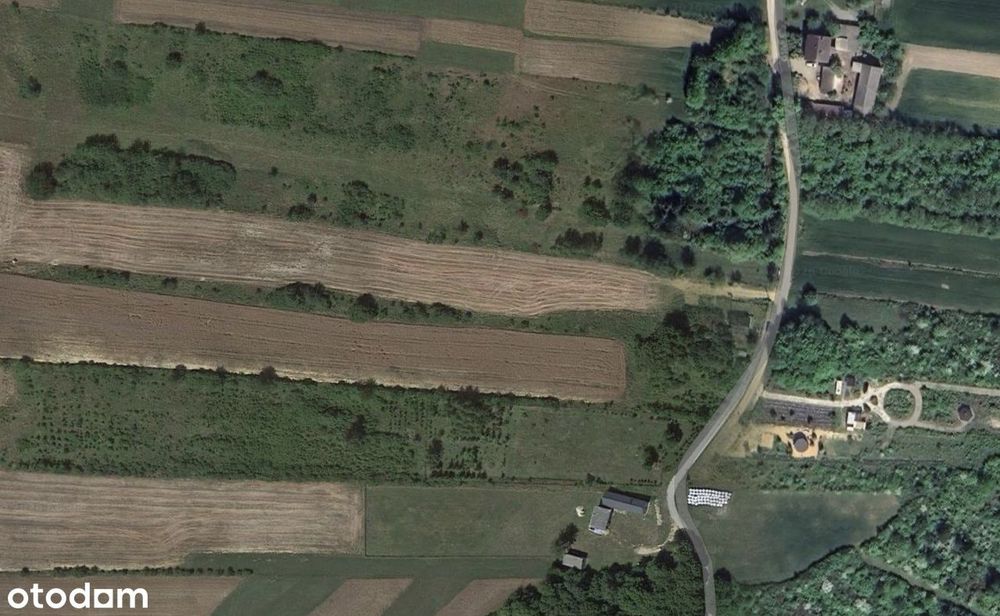 BOBOLICE | 1,146 ha | Widok na Zamek Bobolice i Mirów | Media | Asfalt