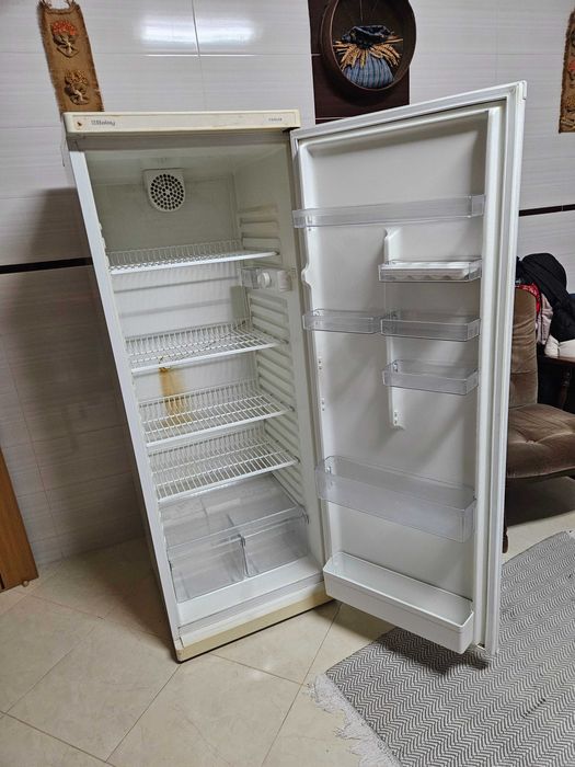 Frigorifico (Entroncamento)