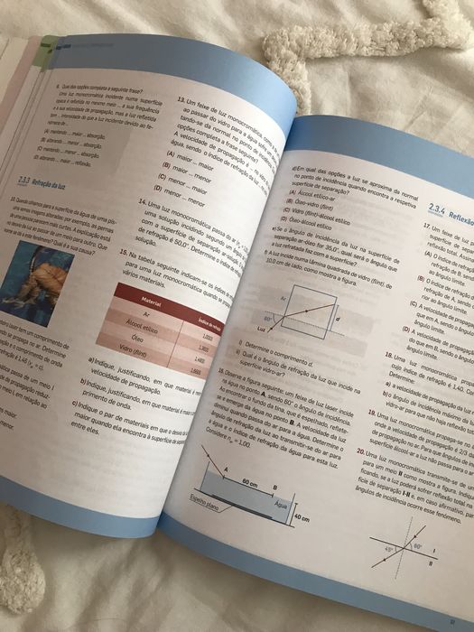 Caderno de Exercícios - Física - 11°ano
