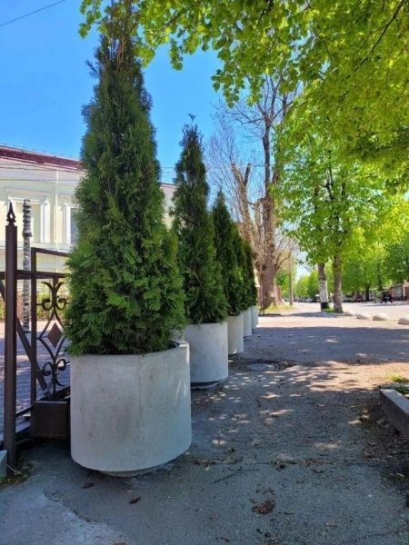 вазон бетонный,клумба бетонная,кашпо бетонное,цветочница бетонная