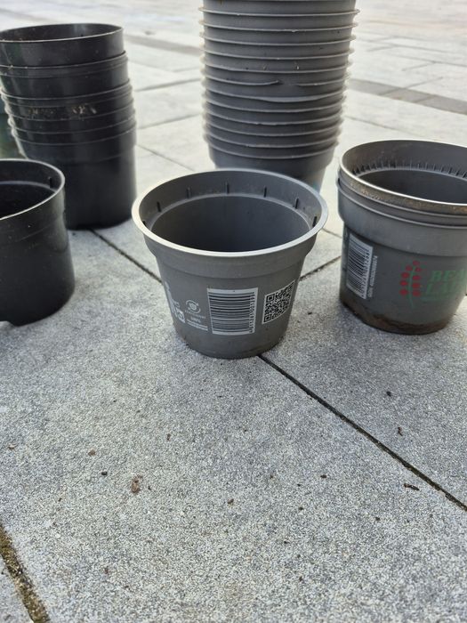 Doniczki plastikowe na sadzonki