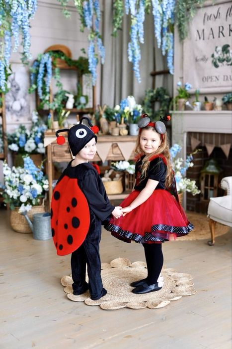 Костюм бедрик сонечко божья коровка жучок комаха