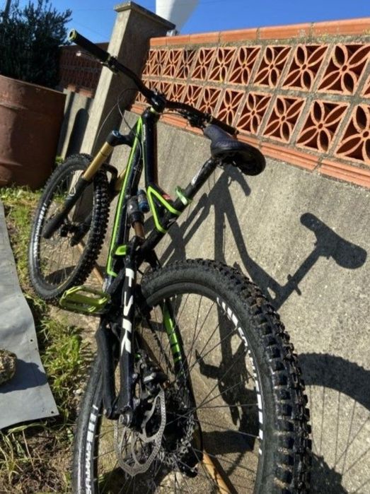 Specialized status 1