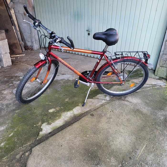 Bicicleta para adultos