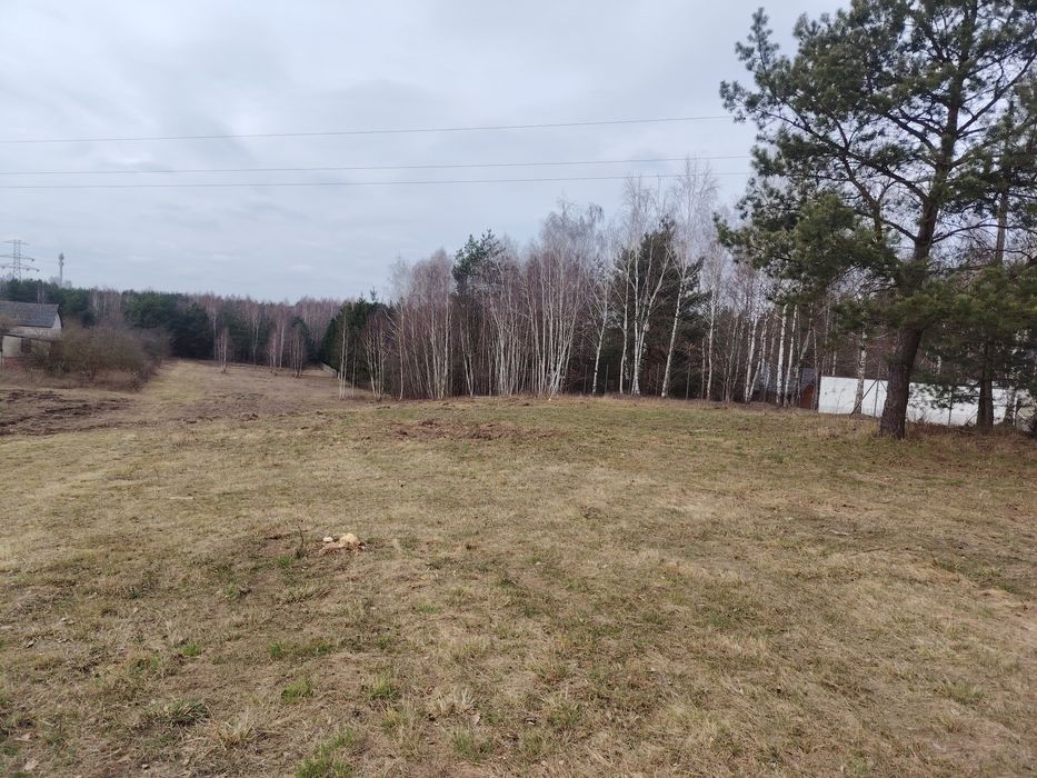 Rosanów 600m2   90.000zl