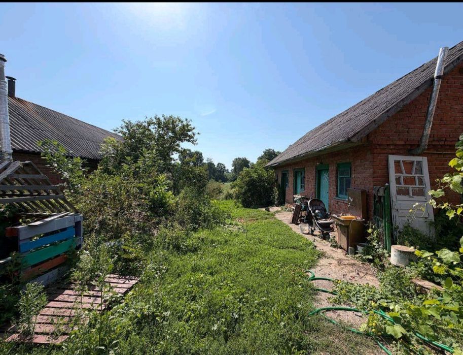 Продам будинок в селі Ружичанка