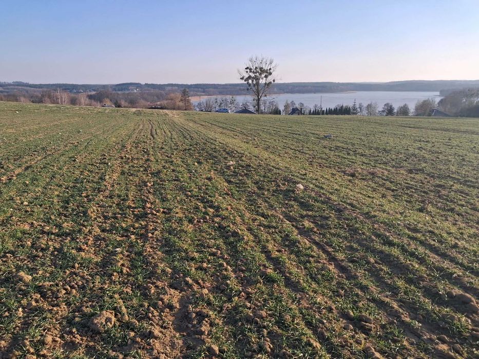 Działki z widokiem na jezioro - Widok 5