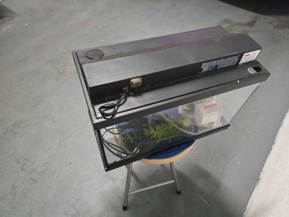 Aquario para peixes com acessorios