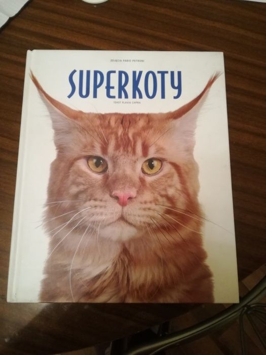 Książka o kotach