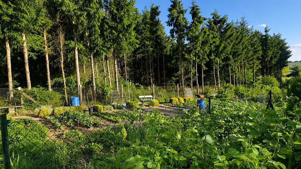Dom – Wiry - Widok 3