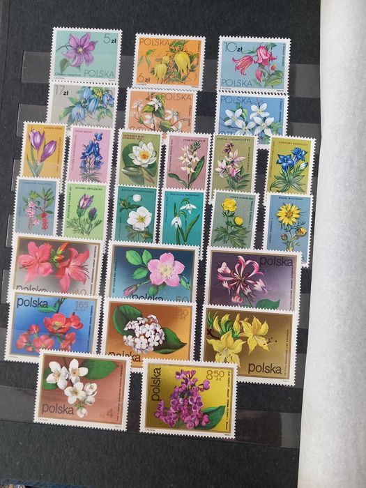 klaser ze znaczkami czyste