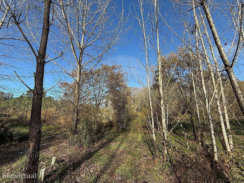 Terreno  para venda