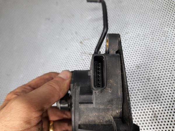 Potenciometro Acelerador NISSAN Qashqai/Qashqai+2 I (J10, JJ10)