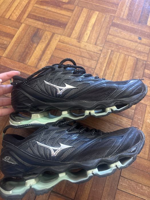 Mizuno prophecy 8
