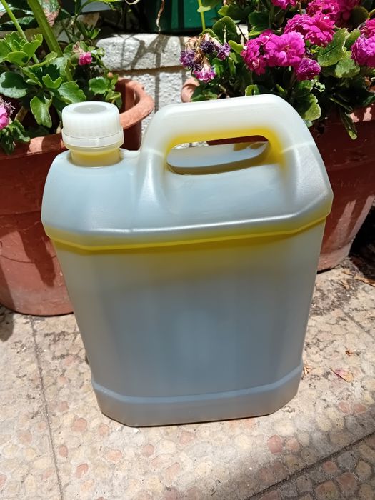 Azeite Caseiro puro de Oliveira(100%)garrafão 5 L