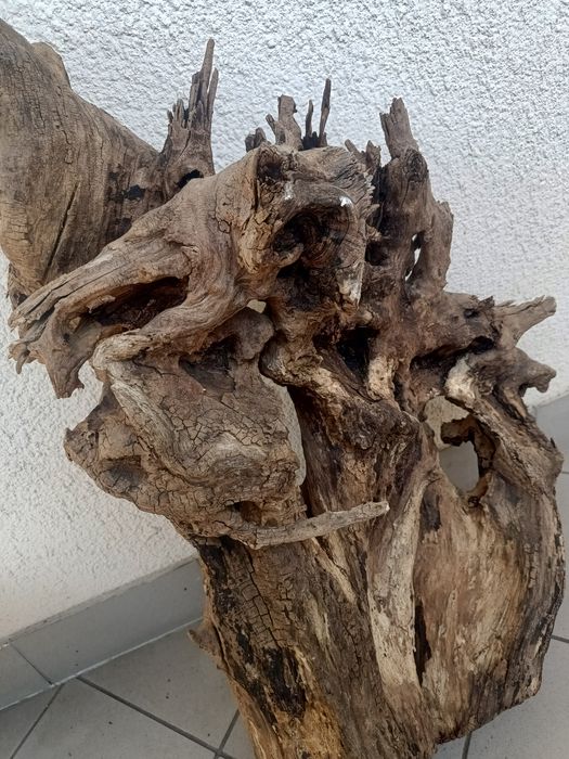 Duży korzeń do akwarium lub terrarium