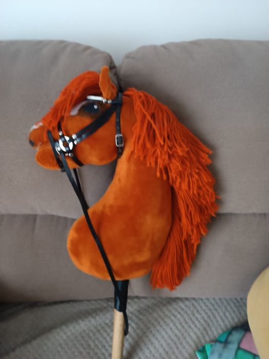 Hobby Horse, rudy A3