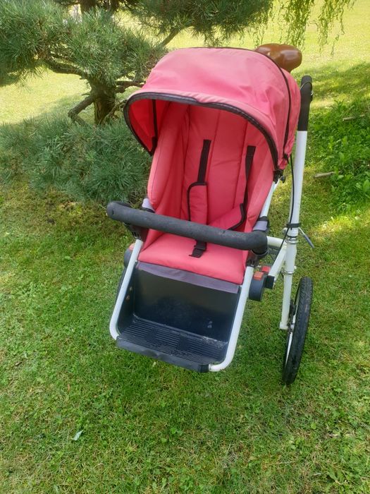 CANGOO  rower specjalny terapeutyczny trójkołowy + riksza