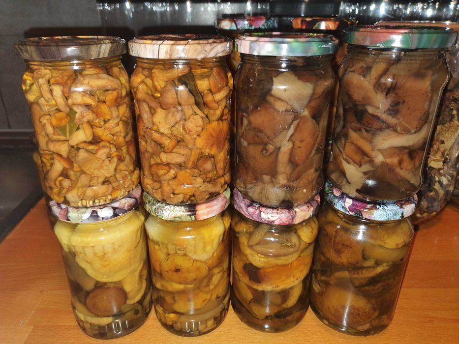 Pyszne grzyby marynowane. Atest Grzyboznawcy