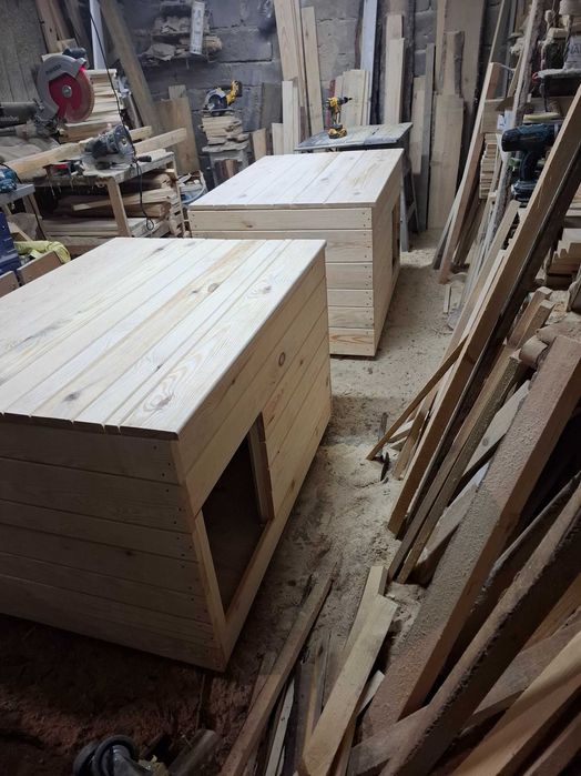 Budy i domki dla psa i kota