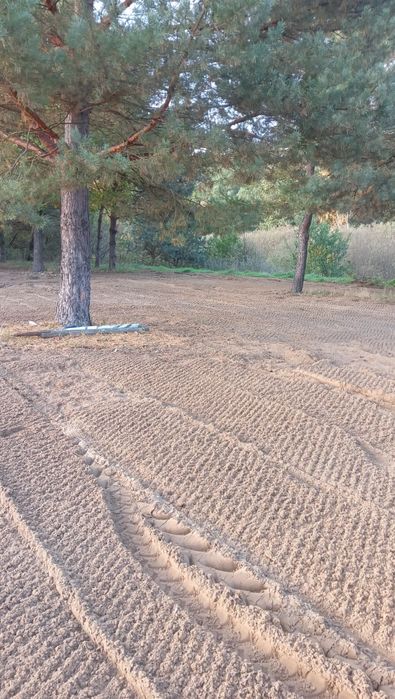 Usługi glebogryzarką separacyjną