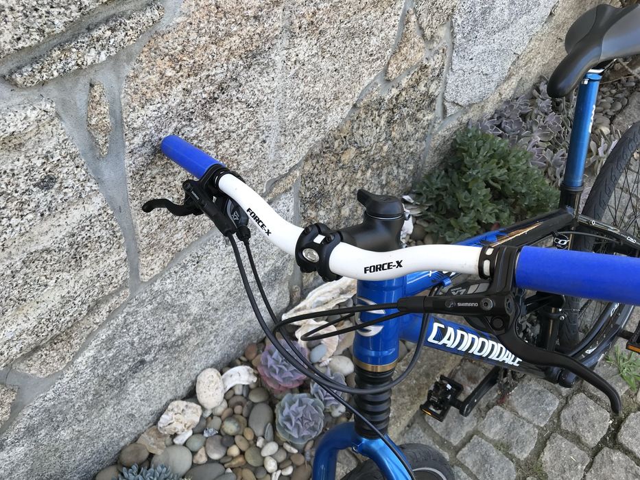 Cannondale F4 Fatty