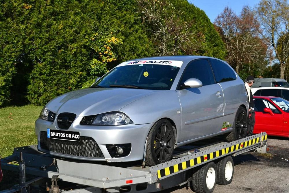 Seat ibiza 6l...