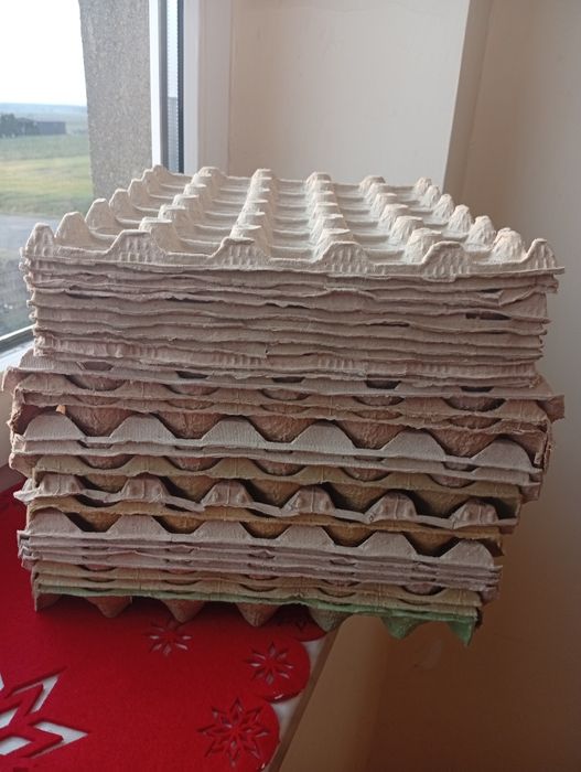 Wytłaczanki na jajka 25szt