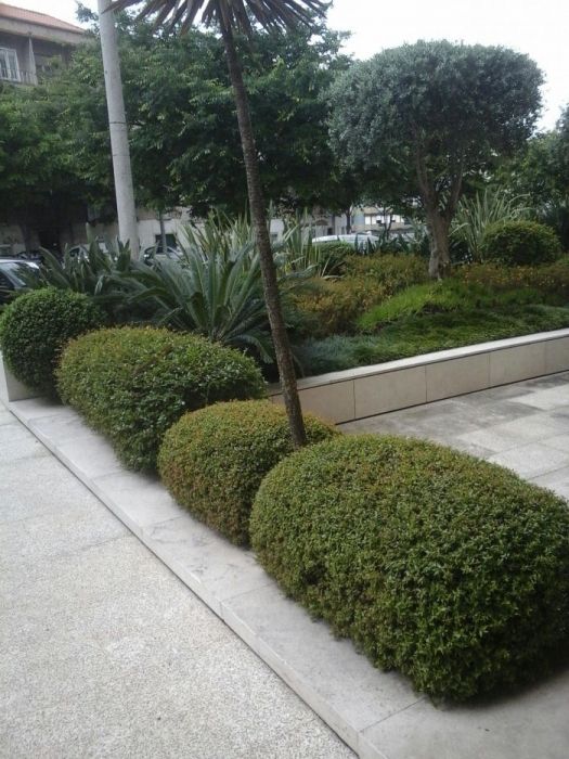 Jardineiro particular