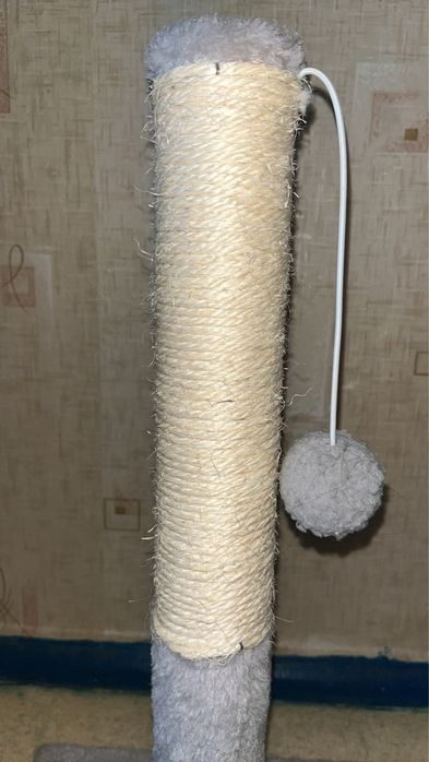 когтеточка для котів