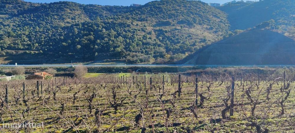 Quinta Vitivinícola de 5 Hectares  - Douro Superior