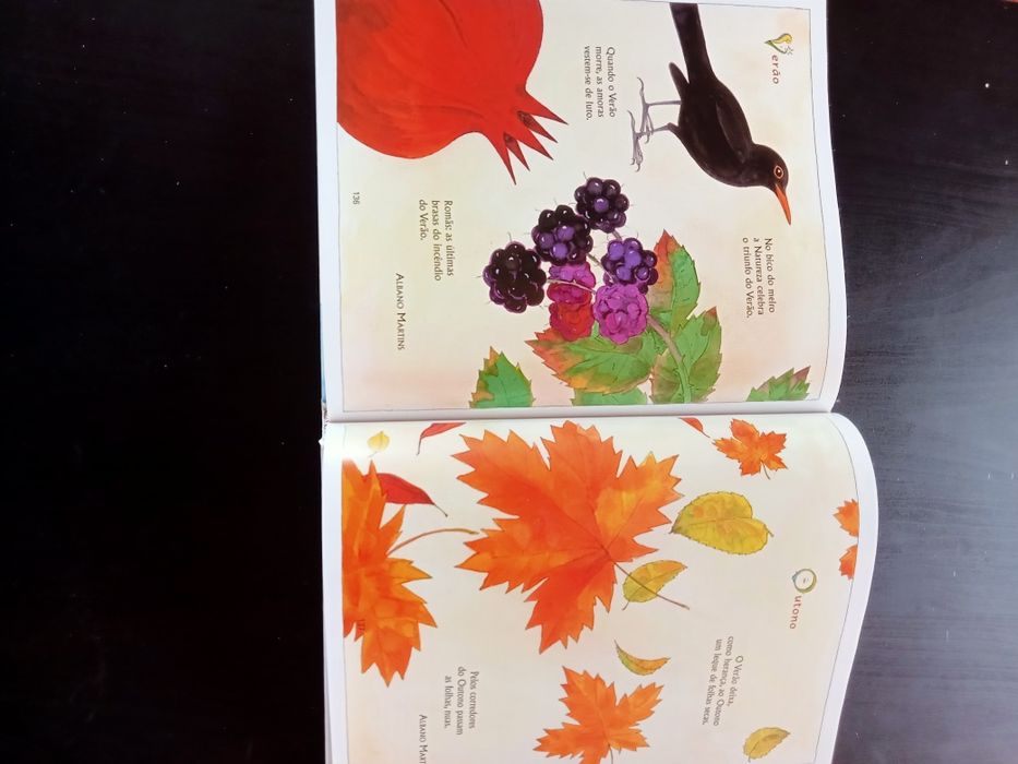 Poesia Portuguesa para crianças -Antologia