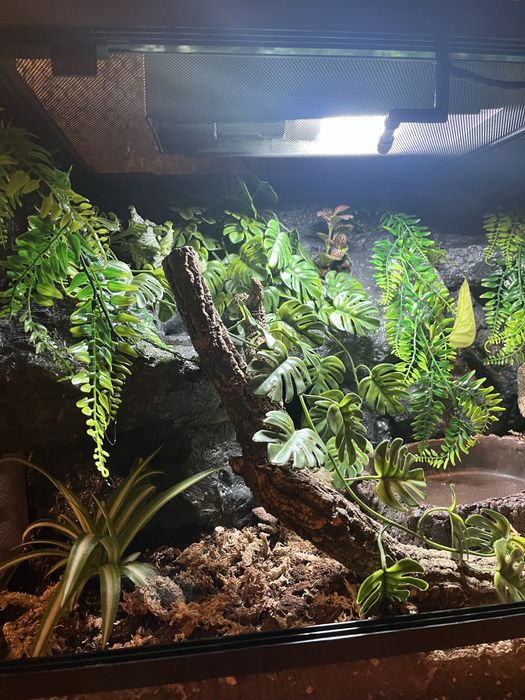 Terrarium na zamowienie.