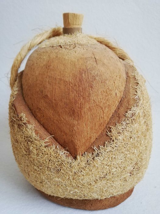 Garrafa em coco brasil